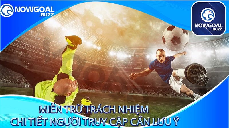 Miễn trừ trách nhiệm chi tiết người truy cập cần lưu ý