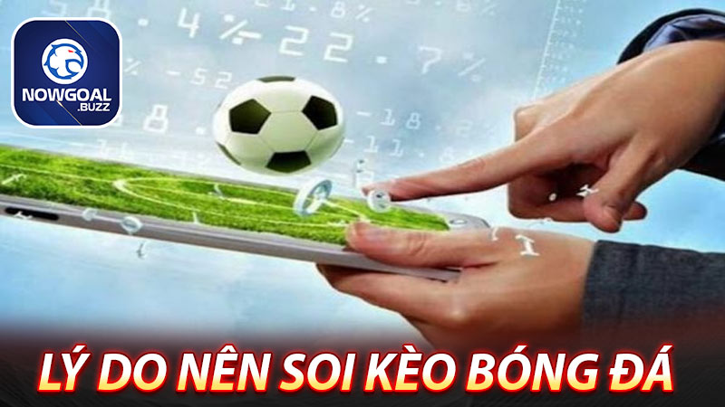 Lý do anh em bet thủ nên soi kèo bóng đá trước khi cá cược