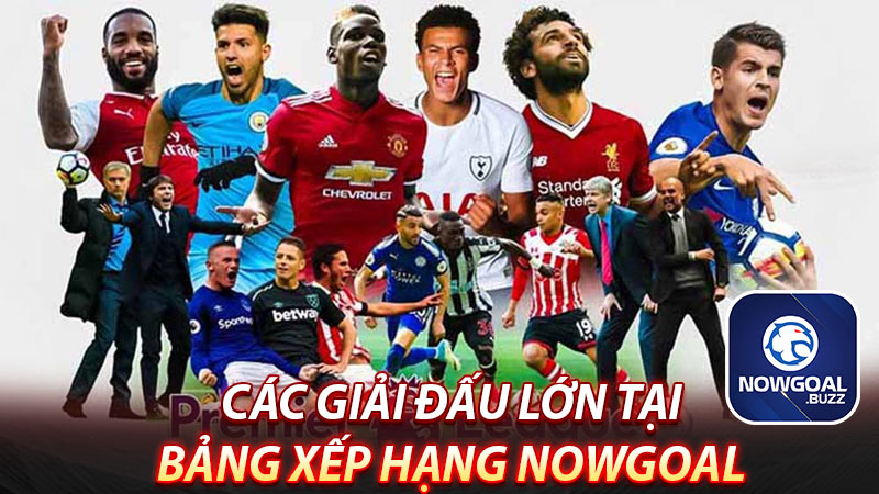 các-giải-đấu-lớn-mà-bảng-xếp-hạng-nowgoal-đặt-lên-đầu