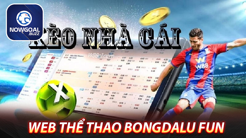 web-thể-thao-bongdalu-fun